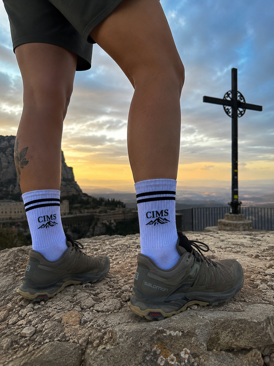 CIMS Socks — Pack of 2