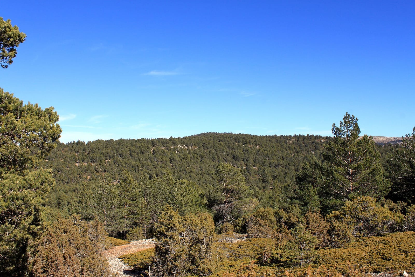 Alto de las Barracas
