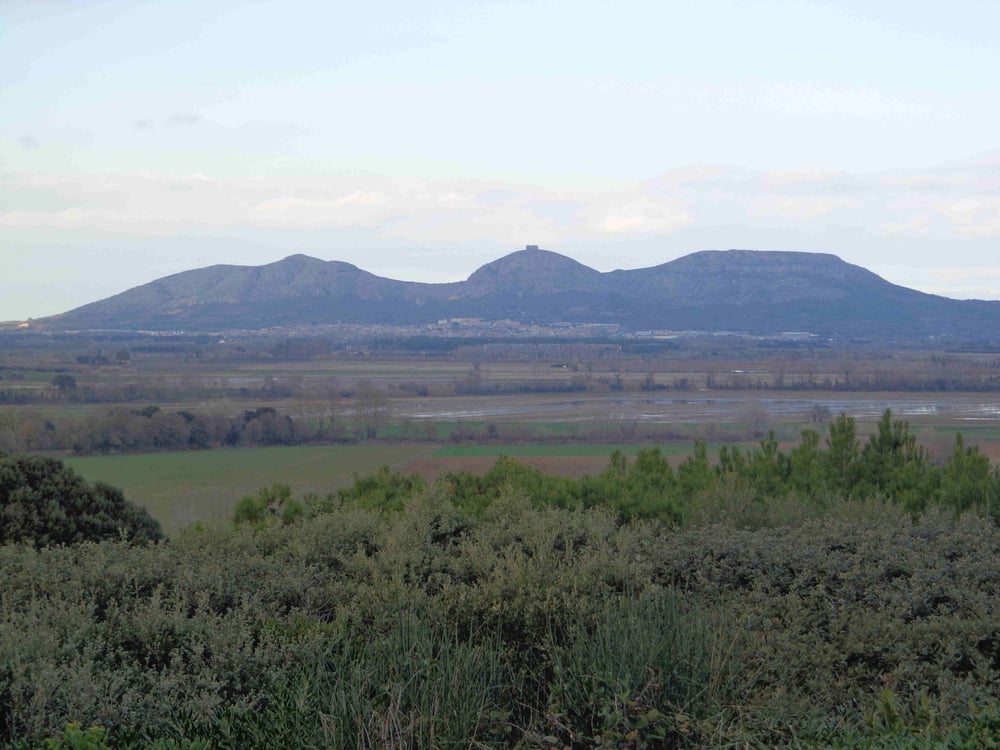 Castell de Montgrí