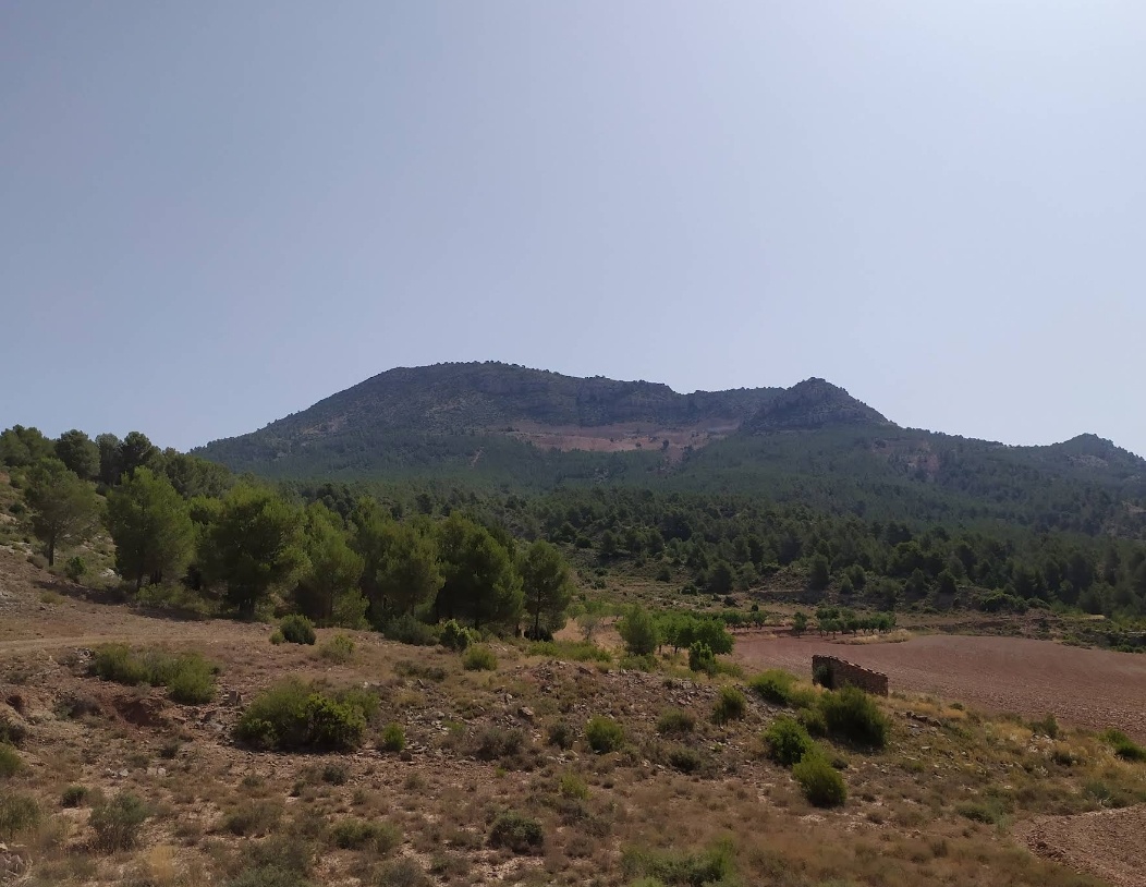 El Cabezo