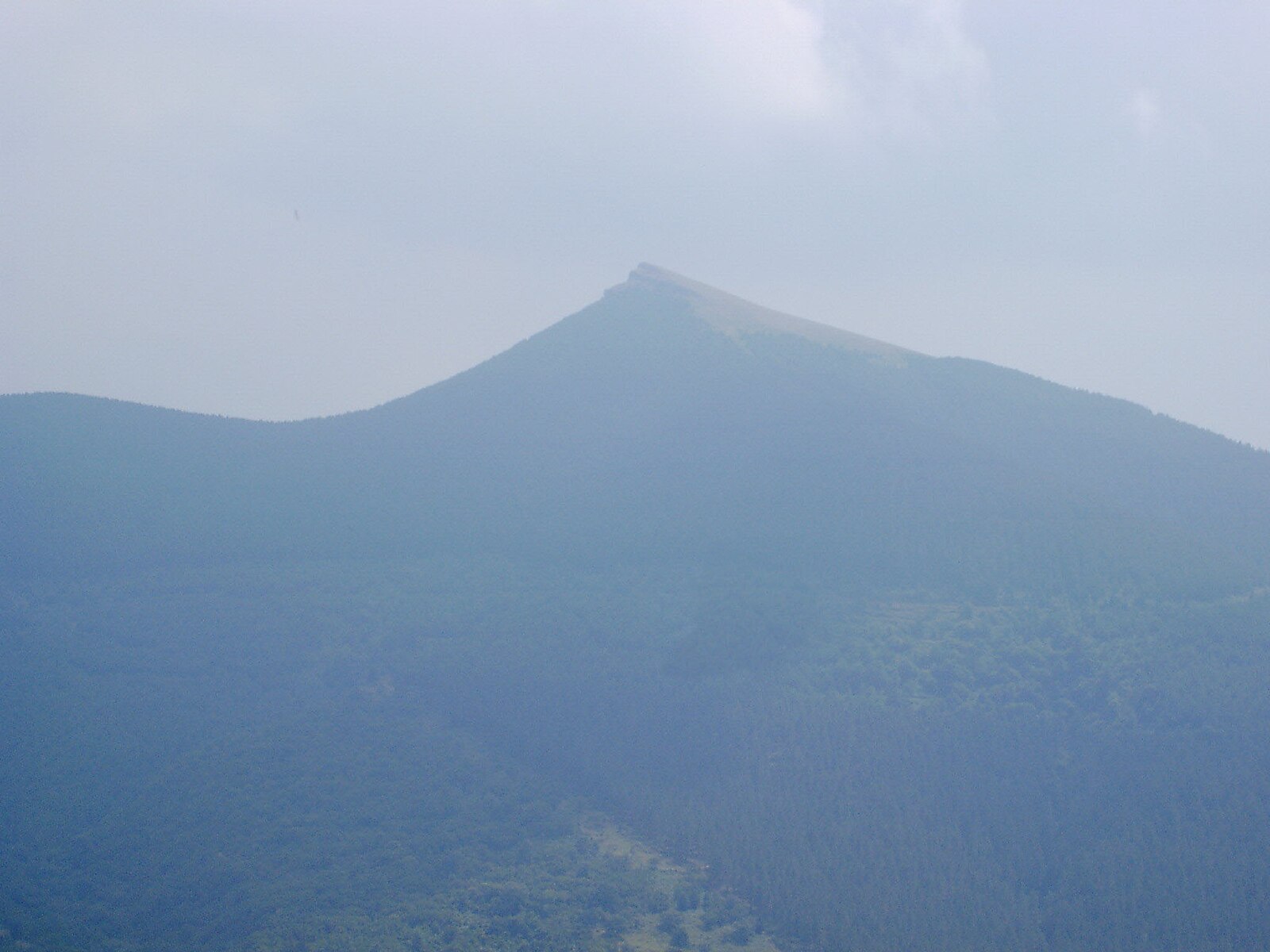 Eretza