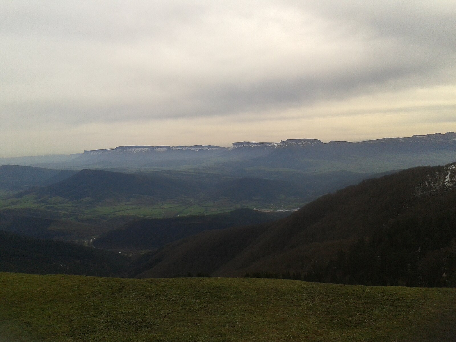 Kolitza