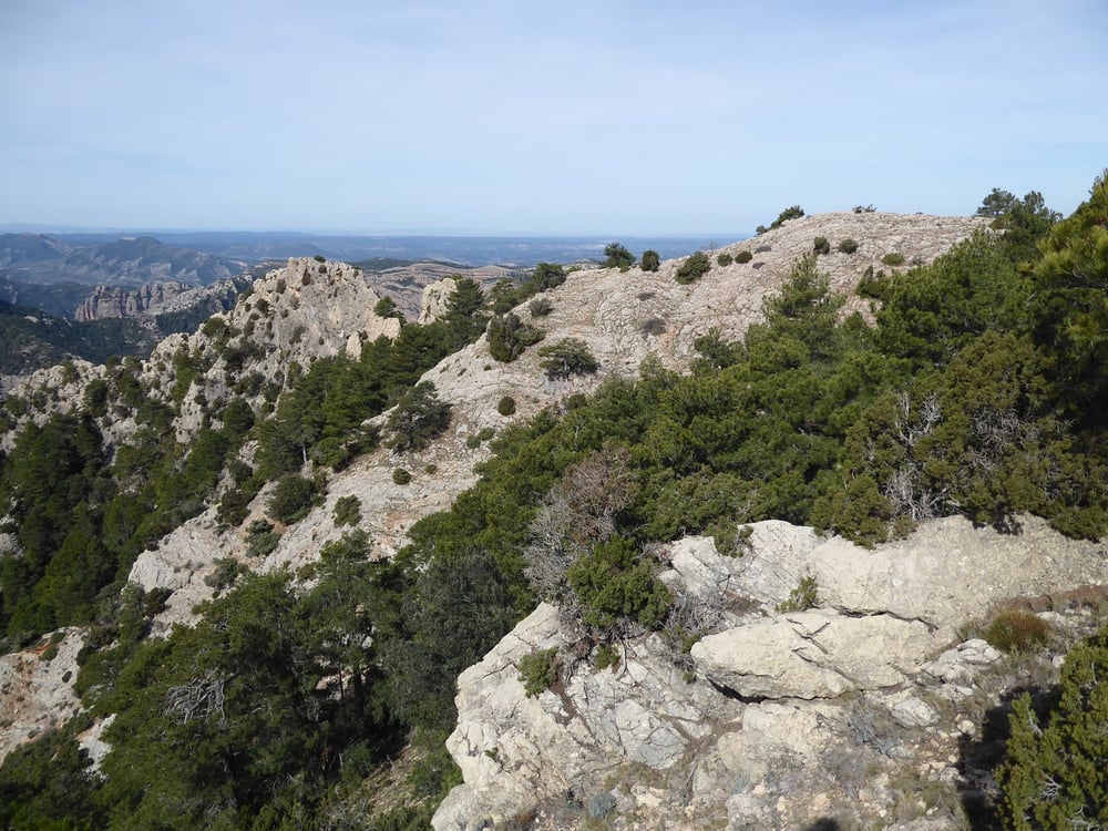 la Miranda de Terranyes