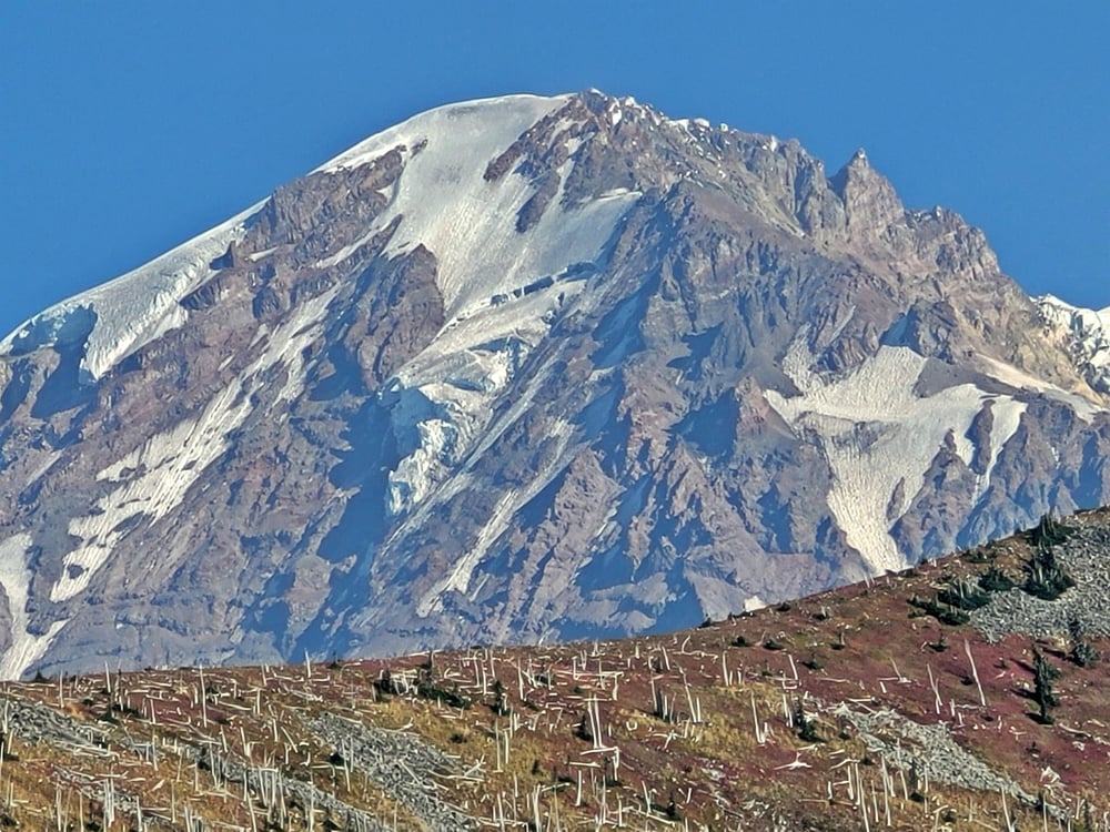 Liberty Cap