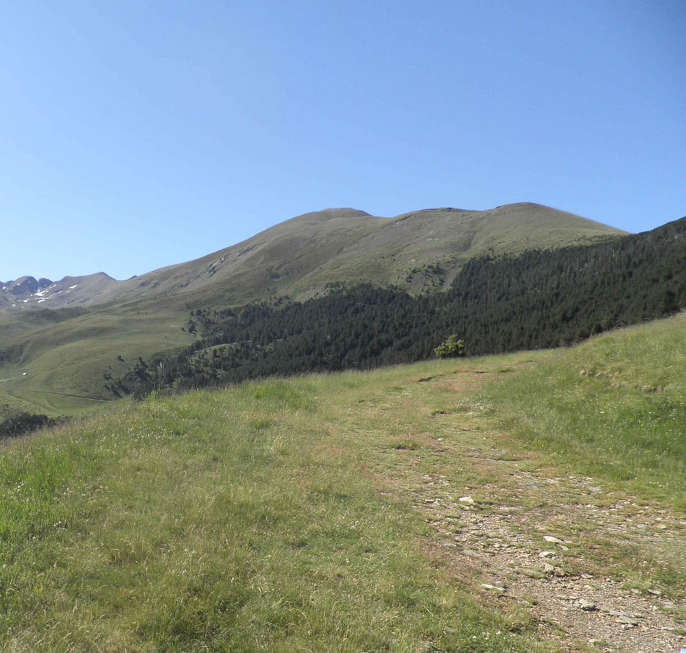 Lo Corronco