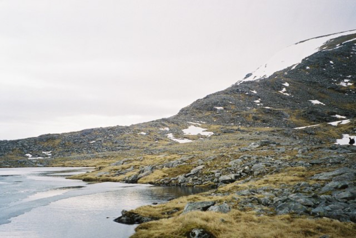 Meall nan Ceapraichean