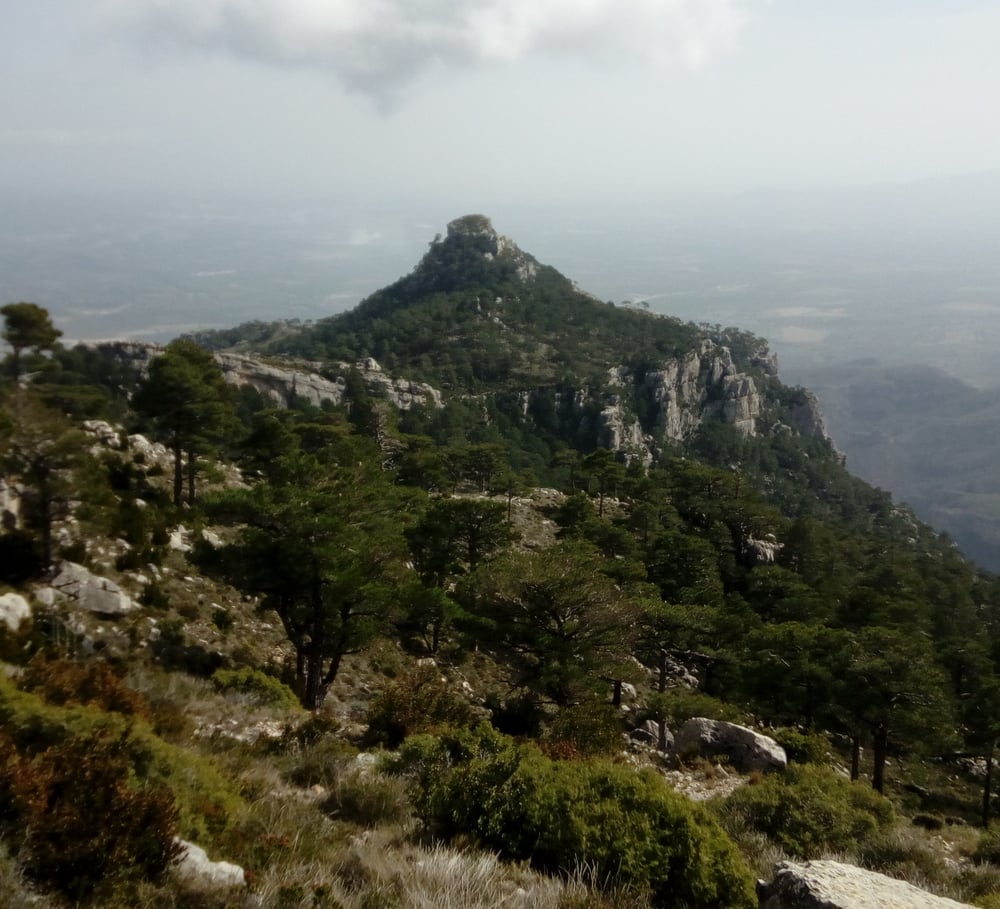 Mola Castellona
