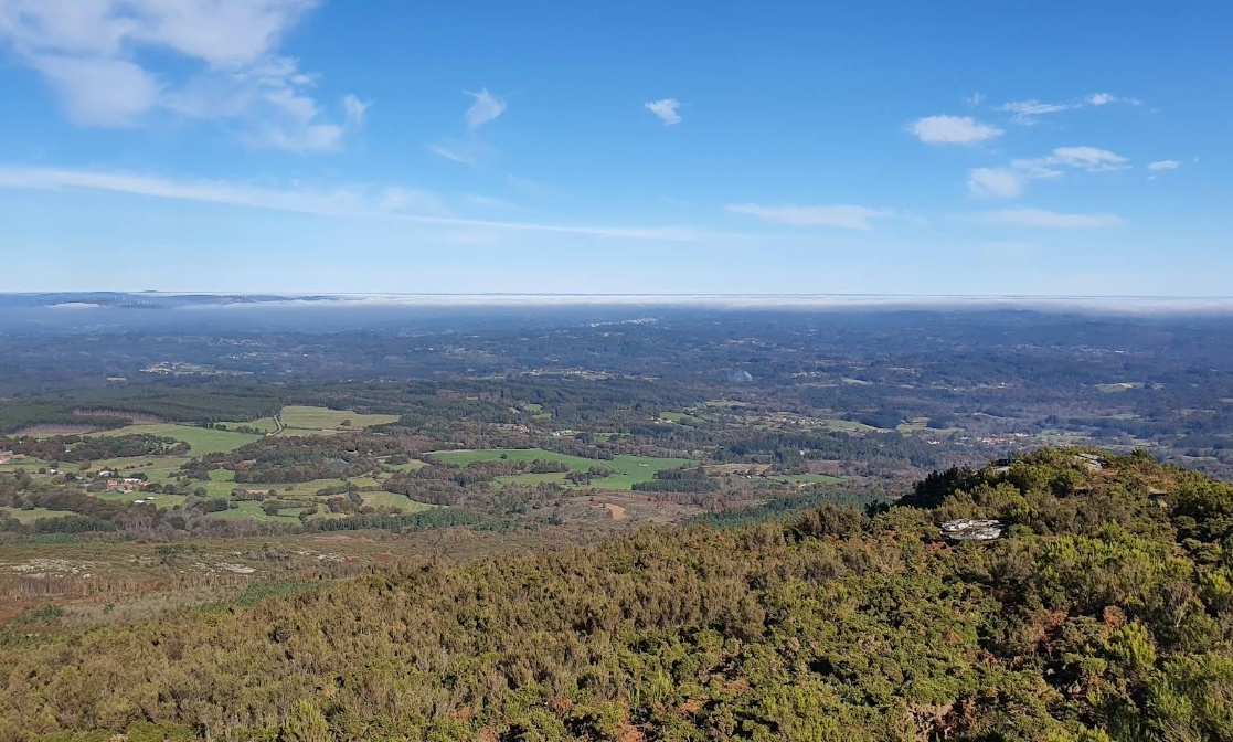 Monte Farelo