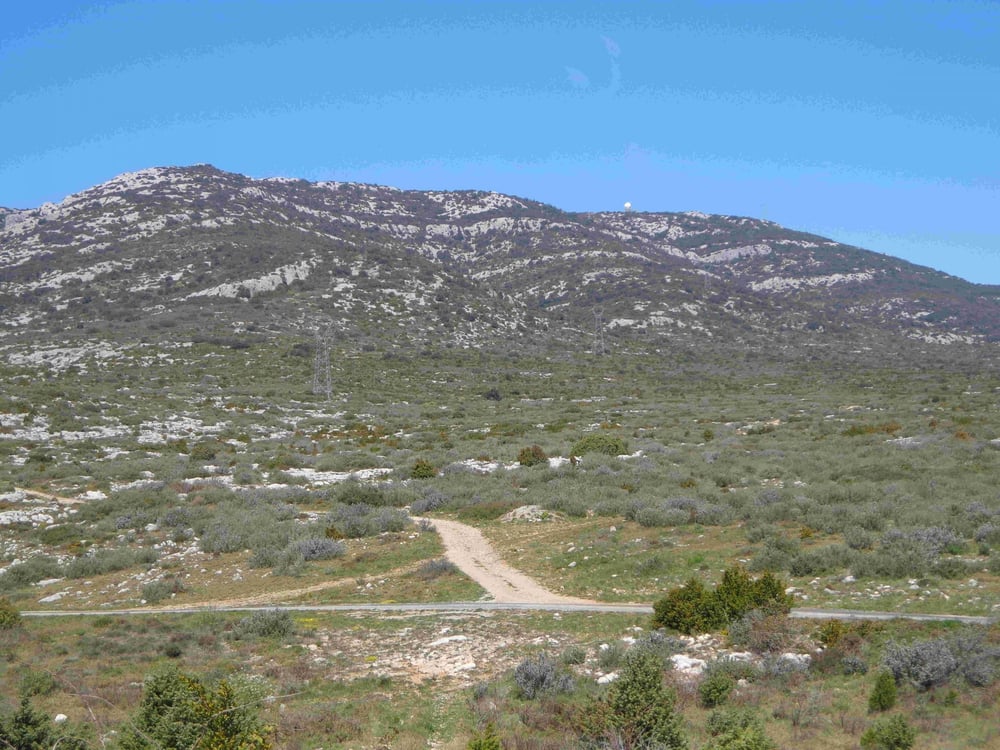 Montolier de Perellós