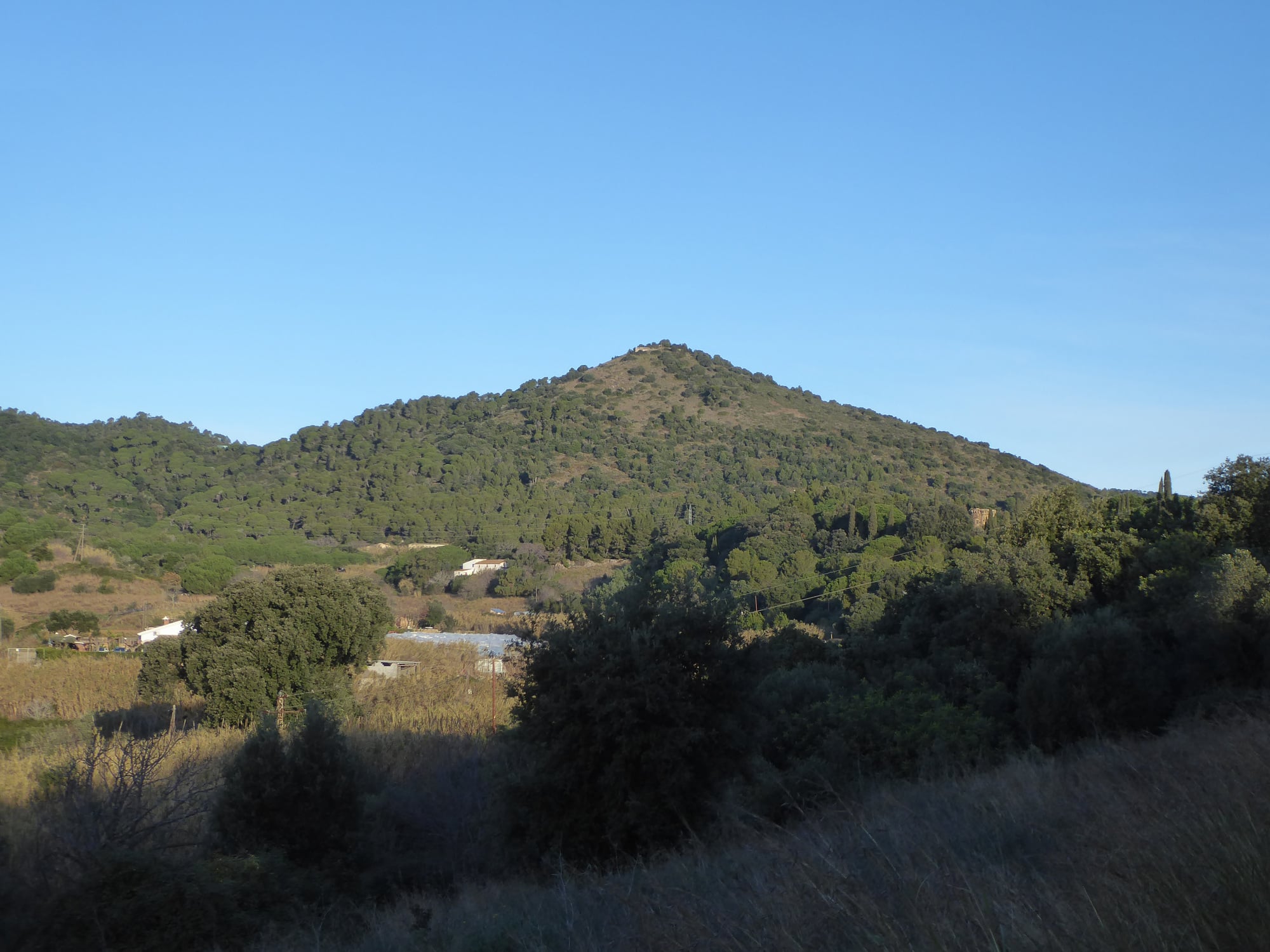 Montpalau