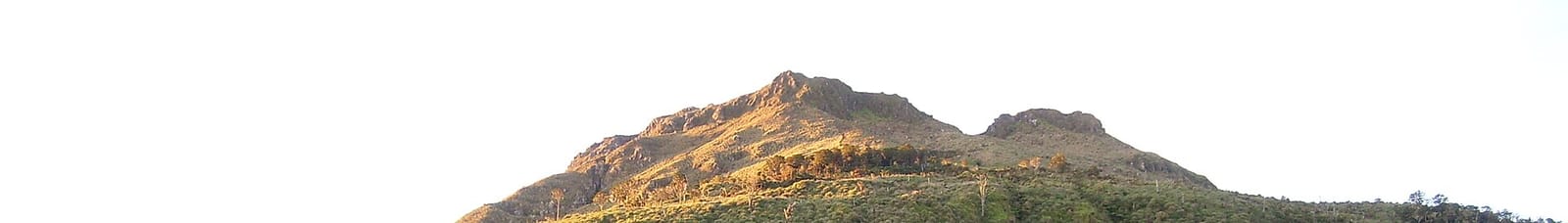 Mount Apo