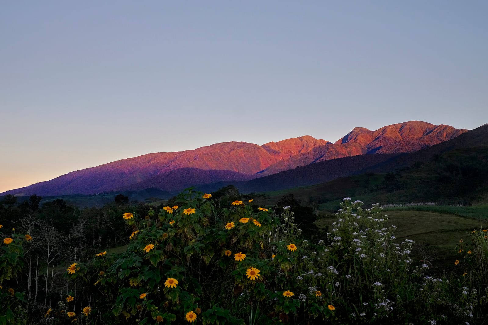 Mount Kalatungan