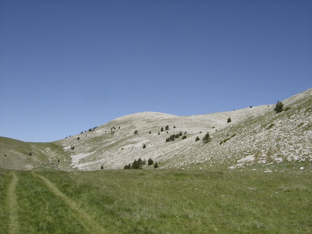 Pedró dels Quatre Batlles