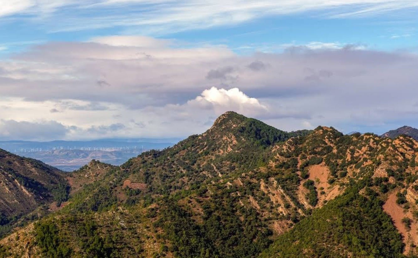 Pico Batalla