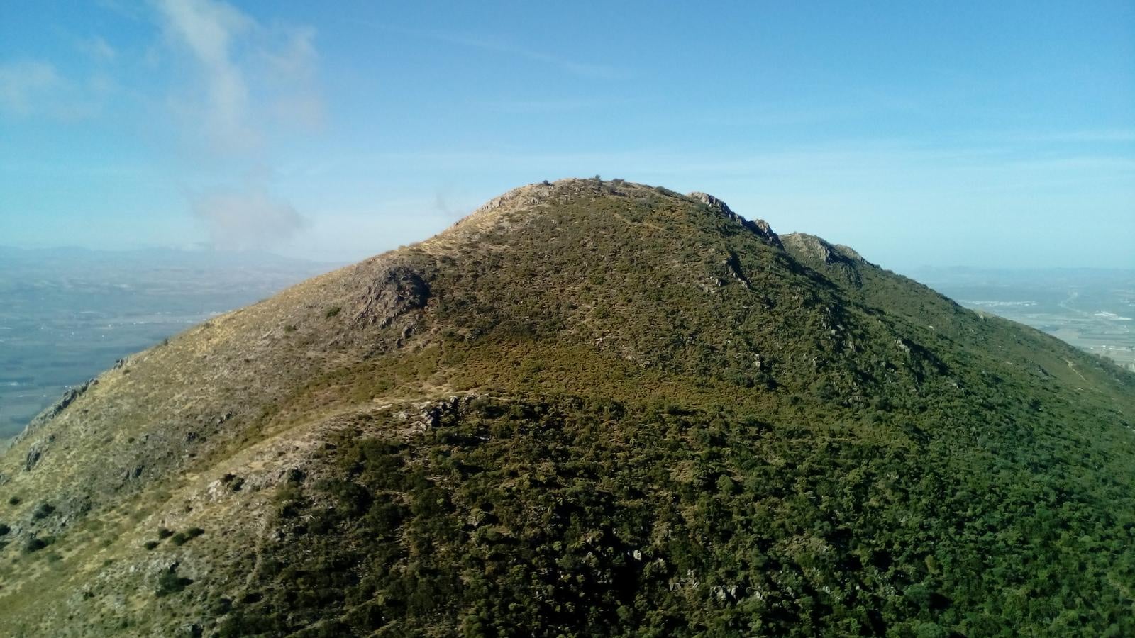 Pico Elvira