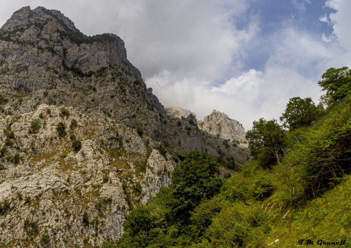 Porro del Torco