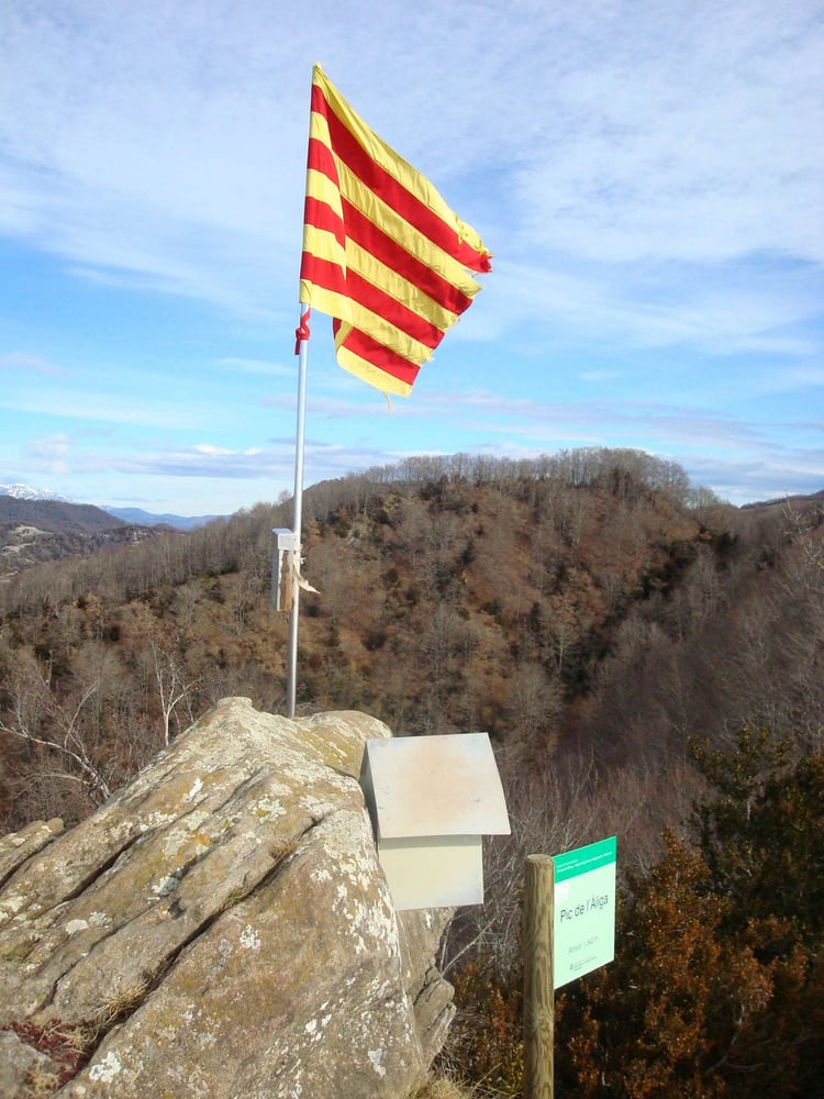Puig de les Àligues
