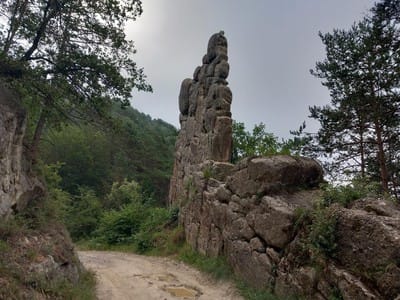 Puigdon