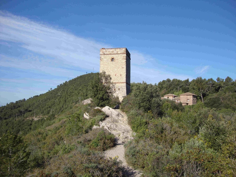 Puiggraciós