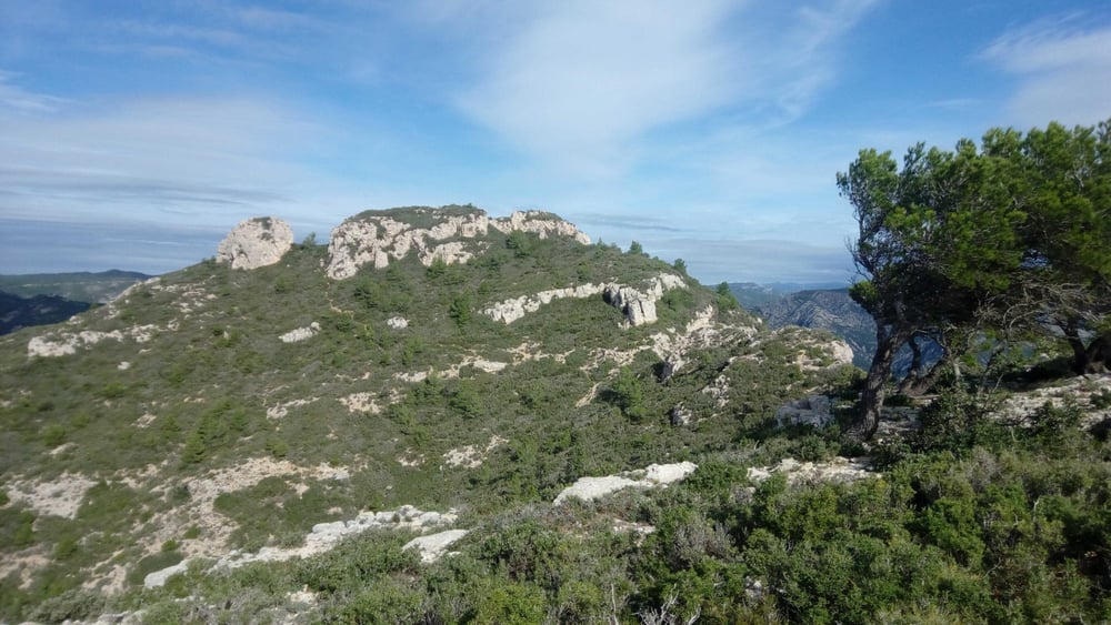 Punta del Pallars