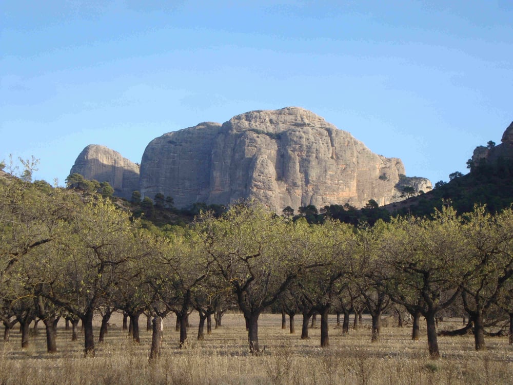Roques de Benet (el Castell)