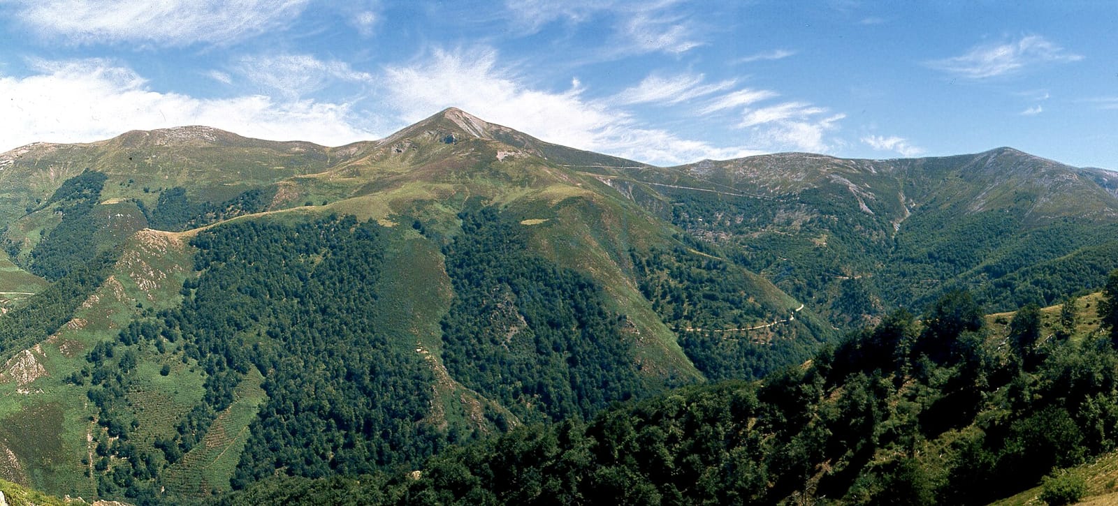San Lorenzo