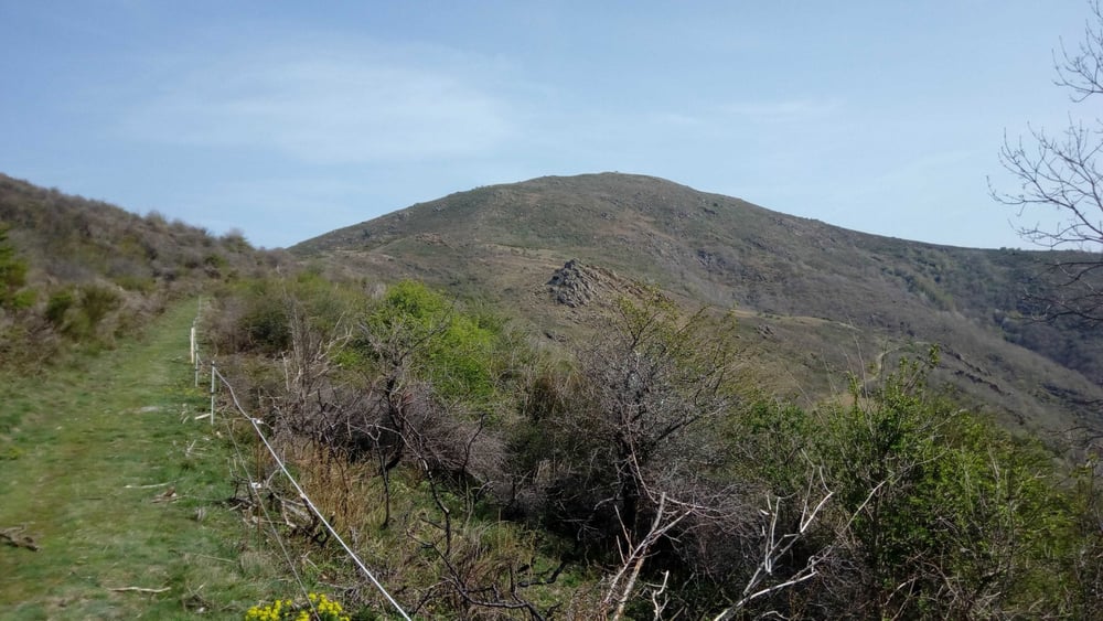 Santa Anna dels Quatre Termes