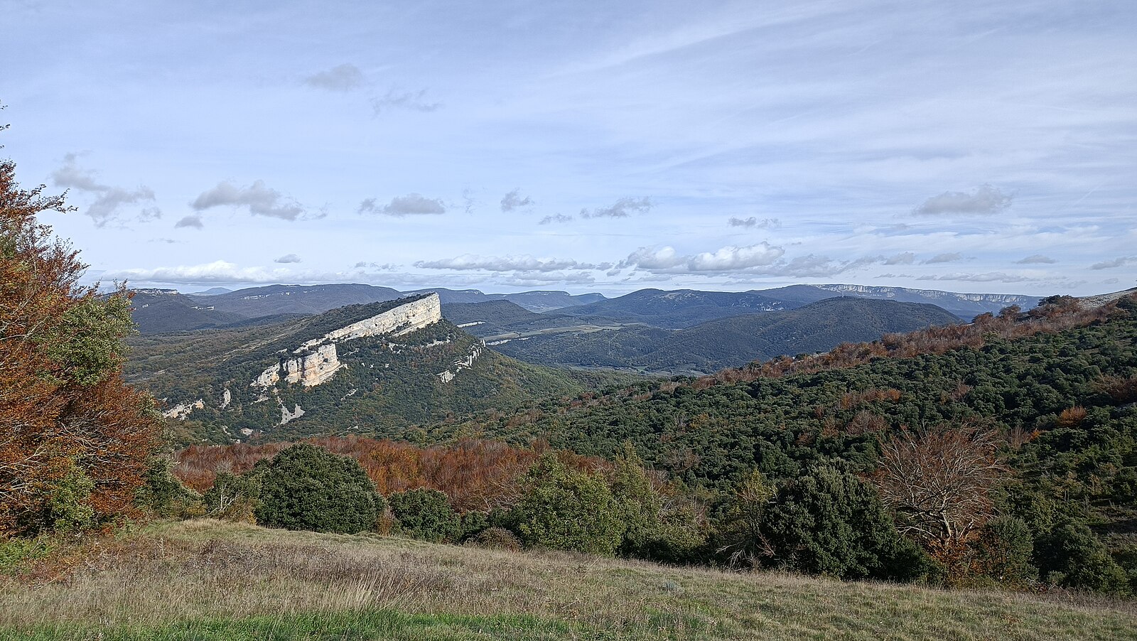 Soila