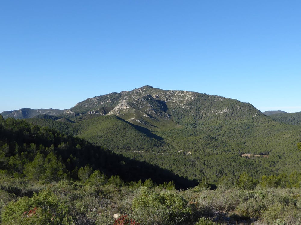 Talaia del Montmell