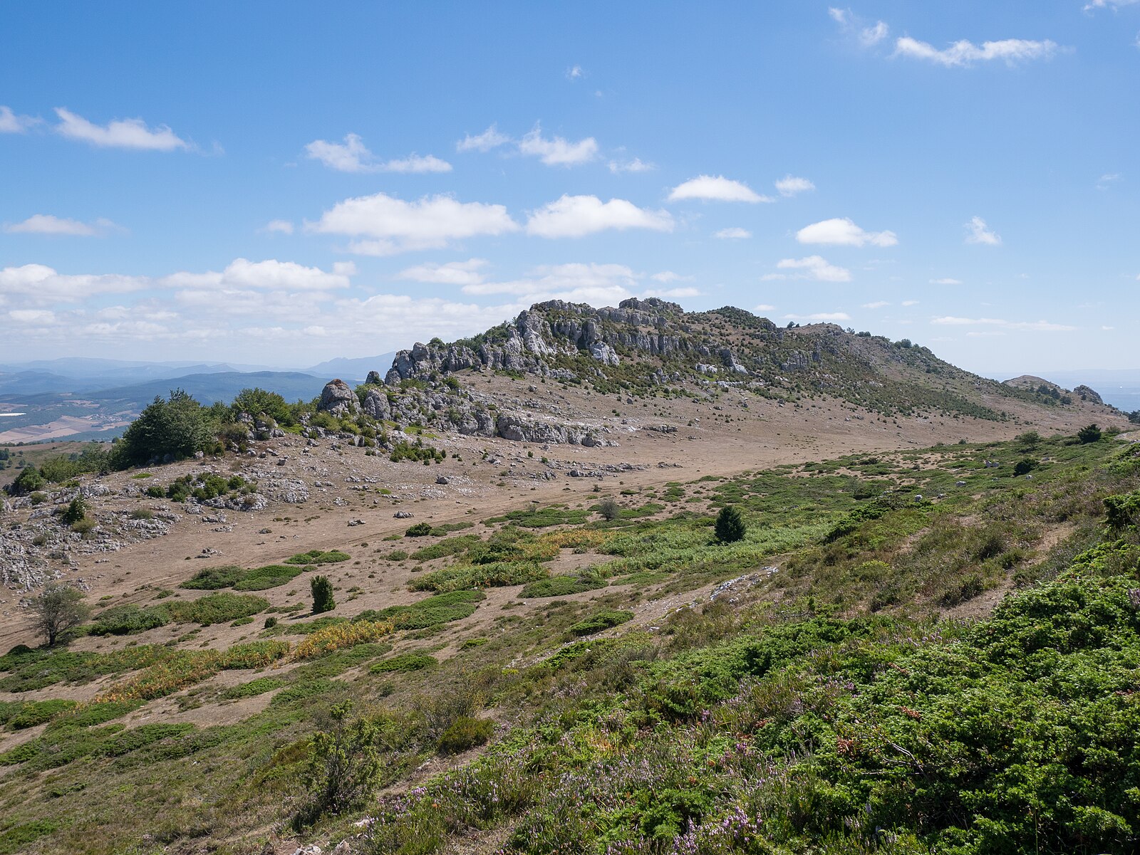 Toloño