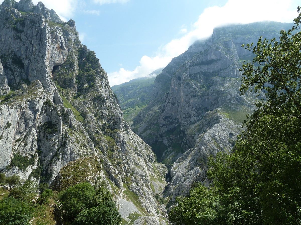 Torre de Cebolleda II