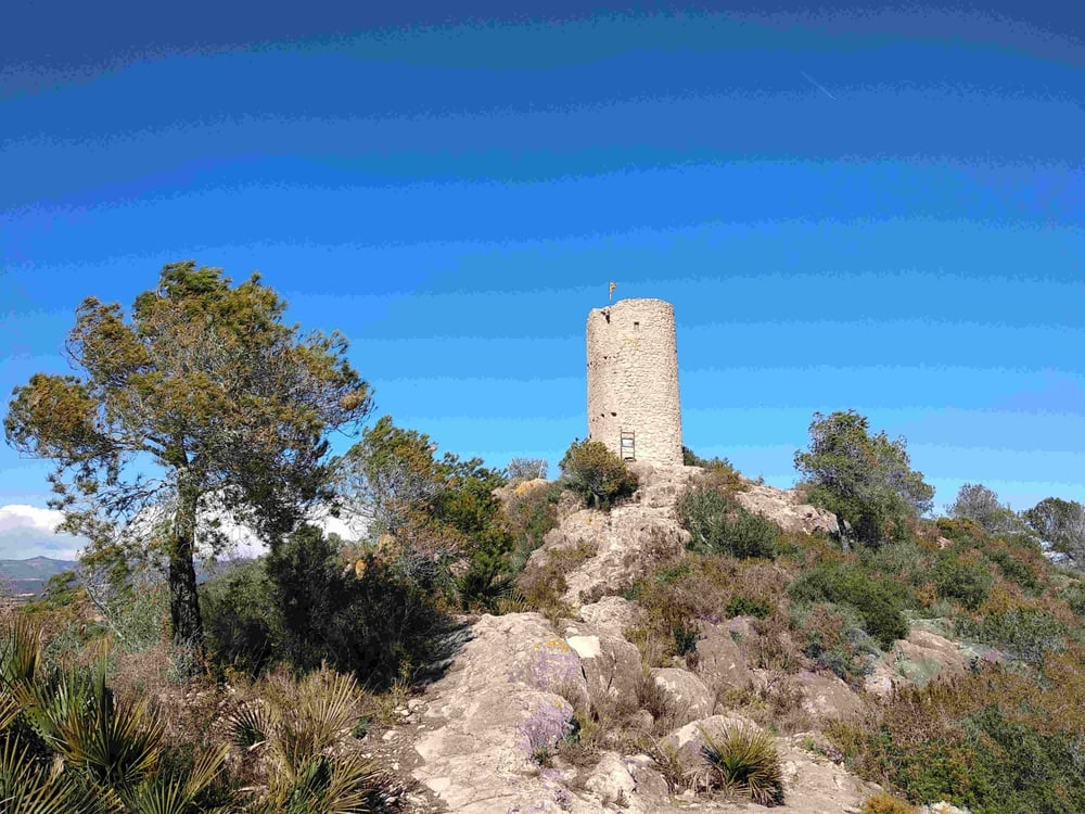 Tossa Grossa de Montferri
