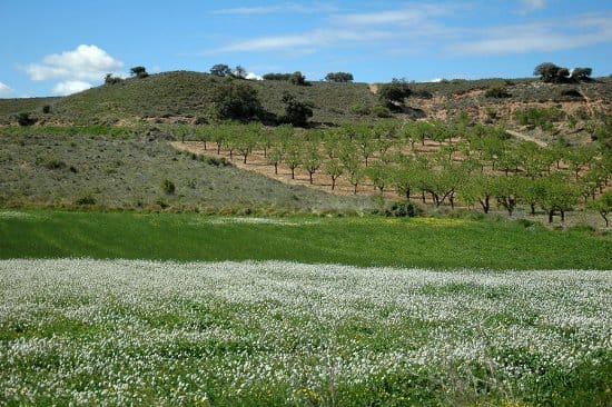 Tossal de l'Infern