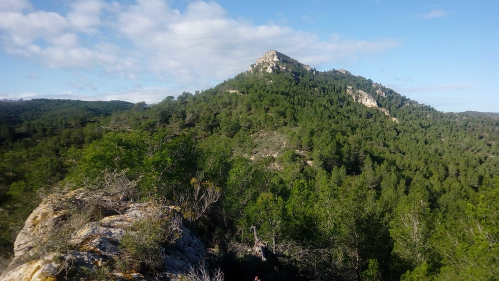 Tossal de Montagut