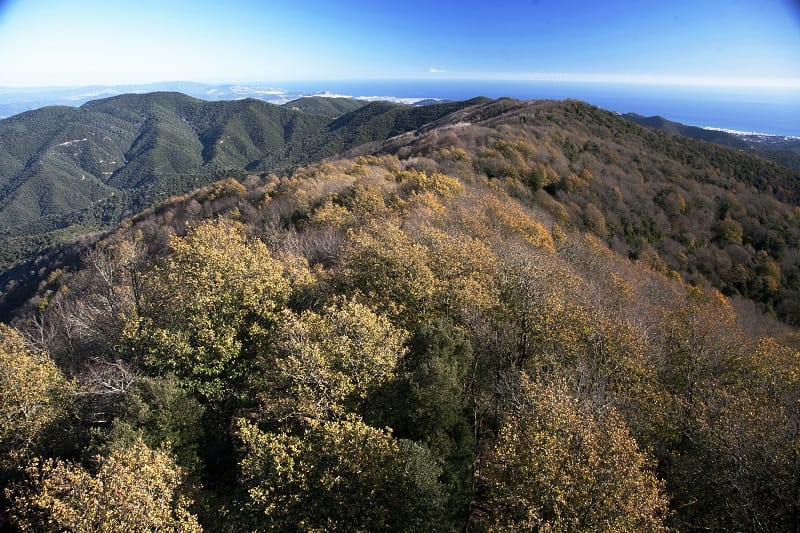 Turó d'en Vives