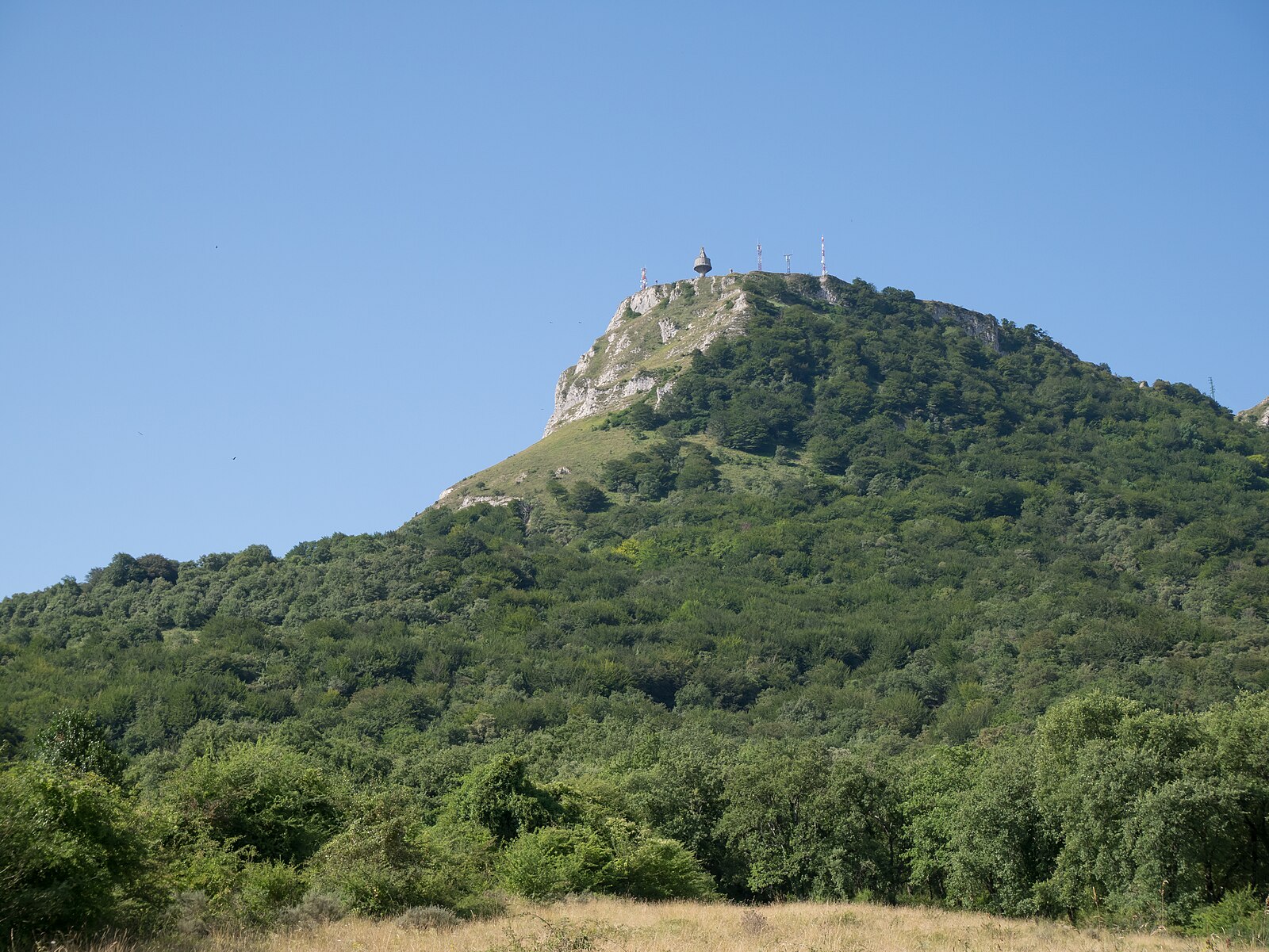 Txarlazo